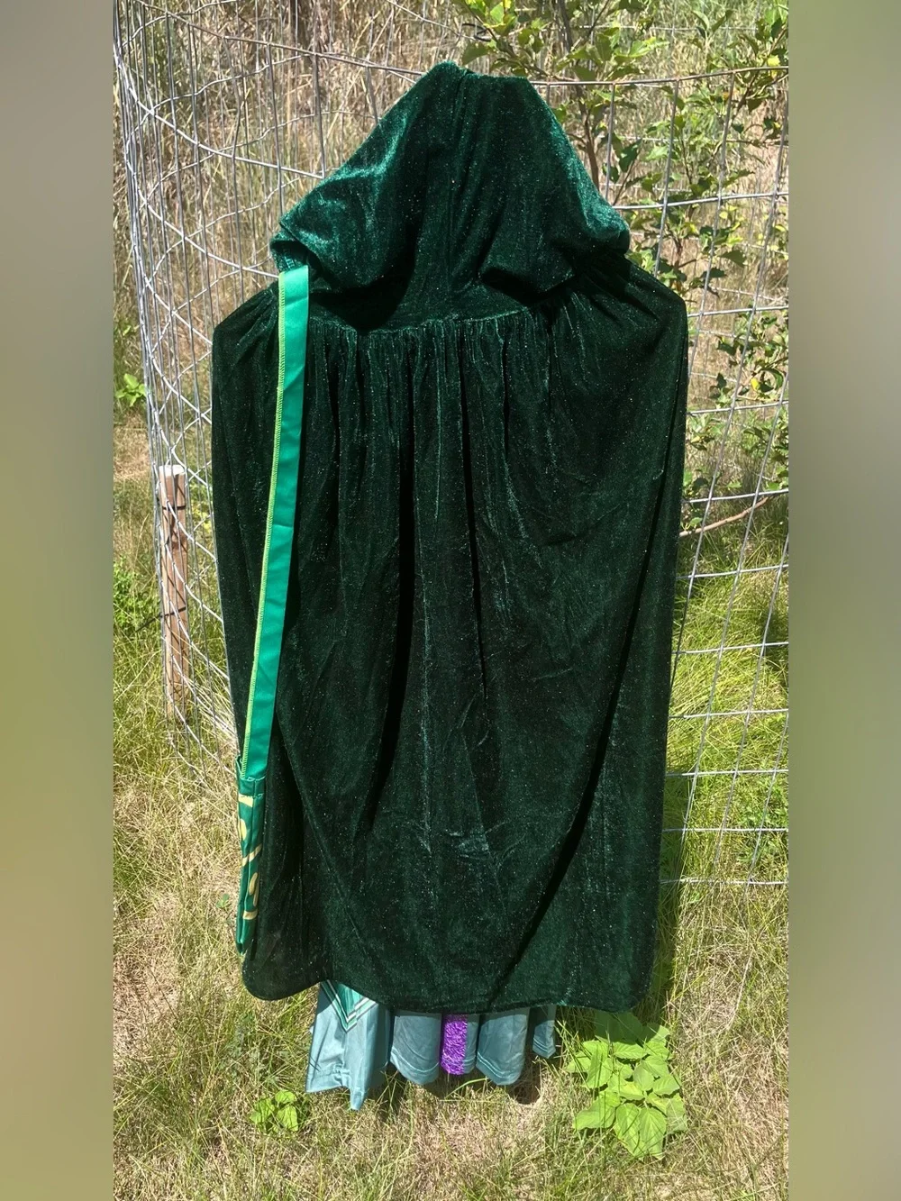 Hocus Pocus Winifred Sanderson Costume